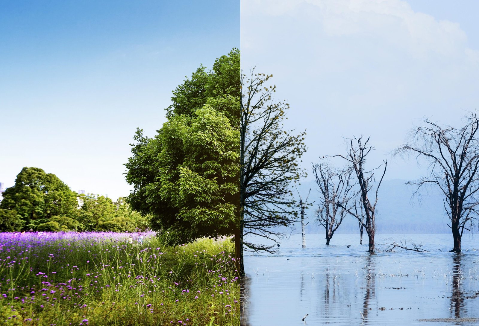 collage-de-concept-de-changement-climatique