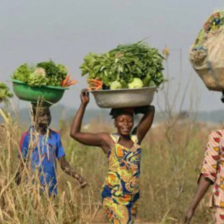 les-legumes-a-transformer_large